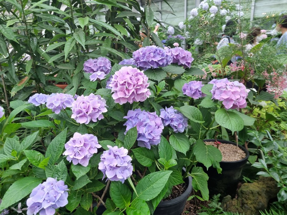 KakaoTalk_20220922_101052266_01.jpg